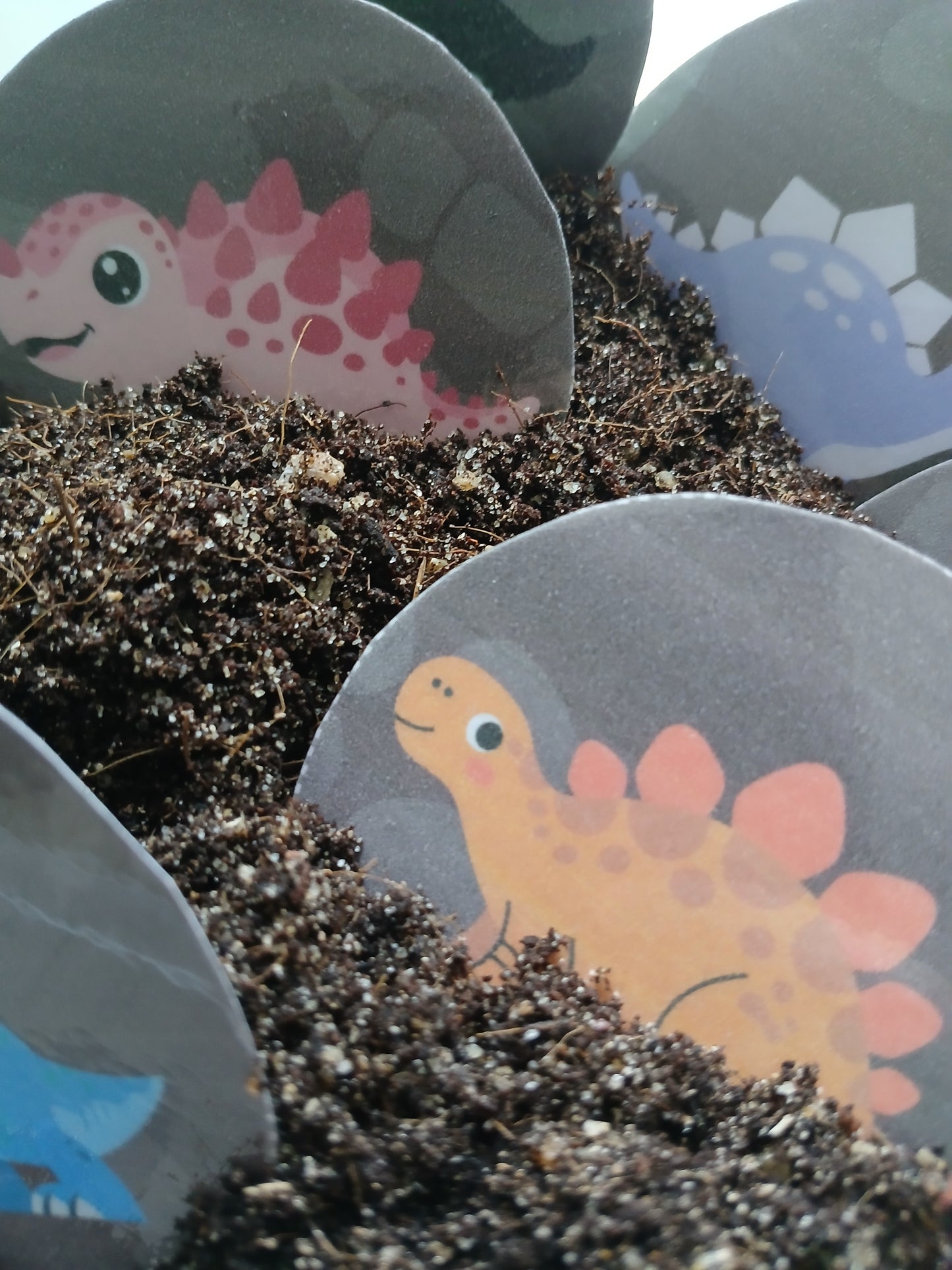 Dino Land: The World of Colours and Shapes